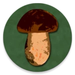 Logo of Book of mushrooms android Application 