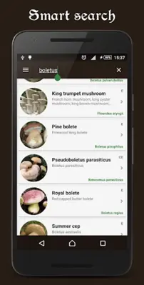 Book of mushrooms android App screenshot 10