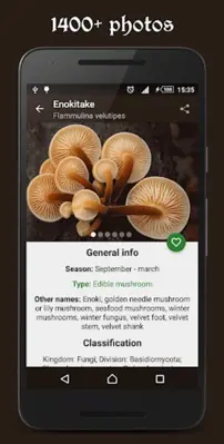 Book of mushrooms android App screenshot 11