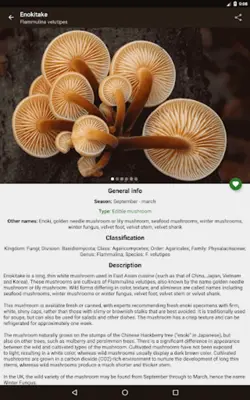 Book of mushrooms android App screenshot 2