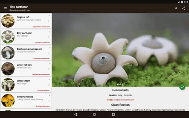 Book of mushrooms android App screenshot 3