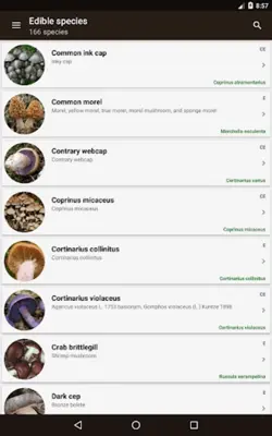 Book of mushrooms android App screenshot 5