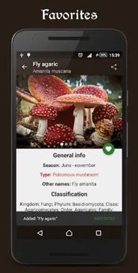 Book of mushrooms android App screenshot 7